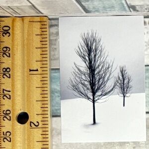 🌀10/$10🌀 White Dream Reusable Washi Sticker Decal